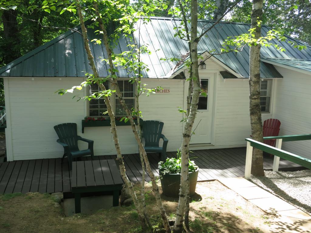 Birch Cliff Lodge On Baptiste Lake Highland Grove Oda fotoğraf