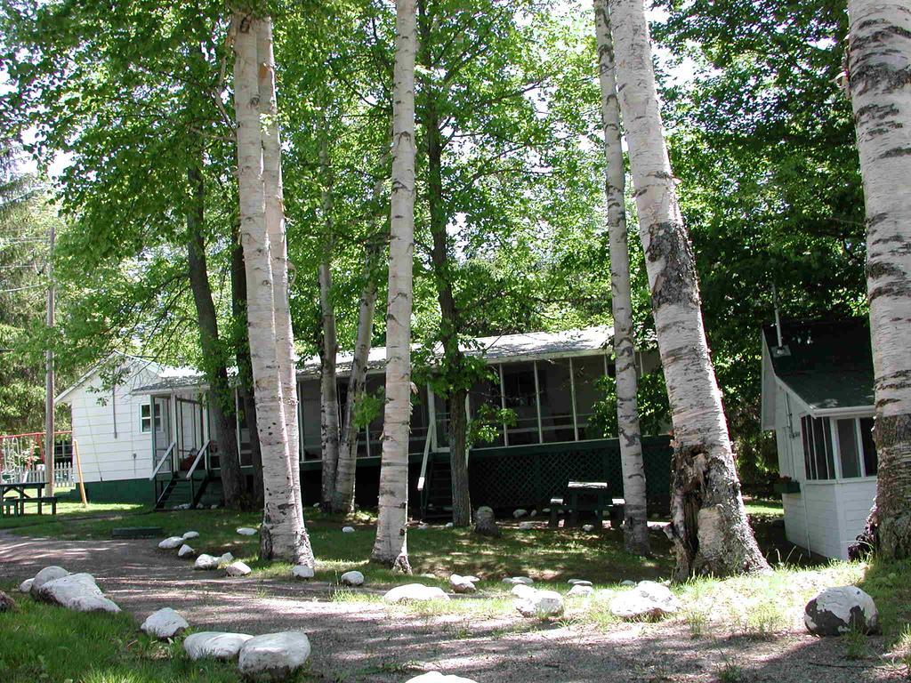 Birch Cliff Lodge On Baptiste Lake Highland Grove Oda fotoğraf