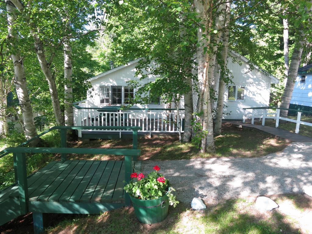 Birch Cliff Lodge On Baptiste Lake Highland Grove Oda fotoğraf